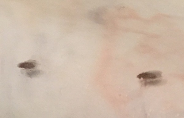 Help! How do I get rid of flies in my kitchen?
