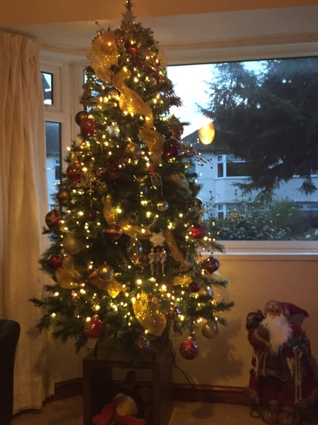 Show Us Your TREES!