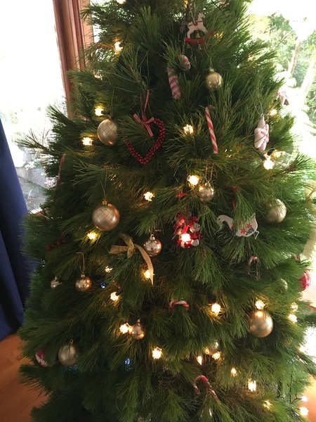 Show Us Your TREES!