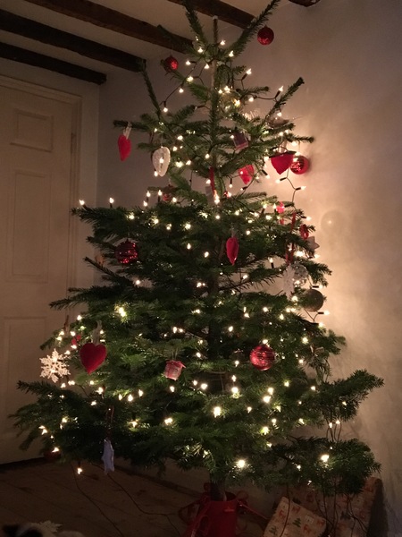 Show Us Your TREES!