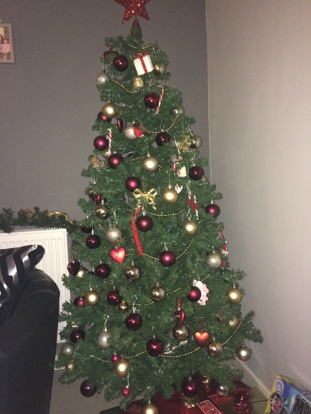 Show Us Your TREES!