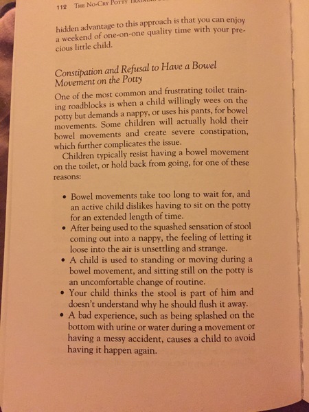 how to get DD to poo on the toilet??