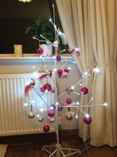 Show Us Your TREES!