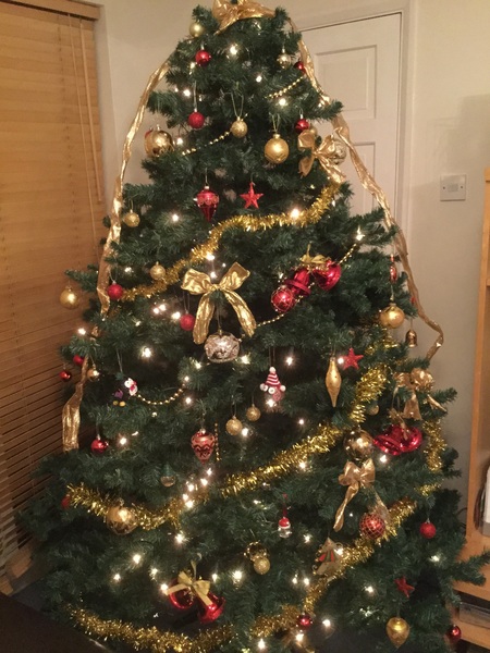 Show Us Your TREES!