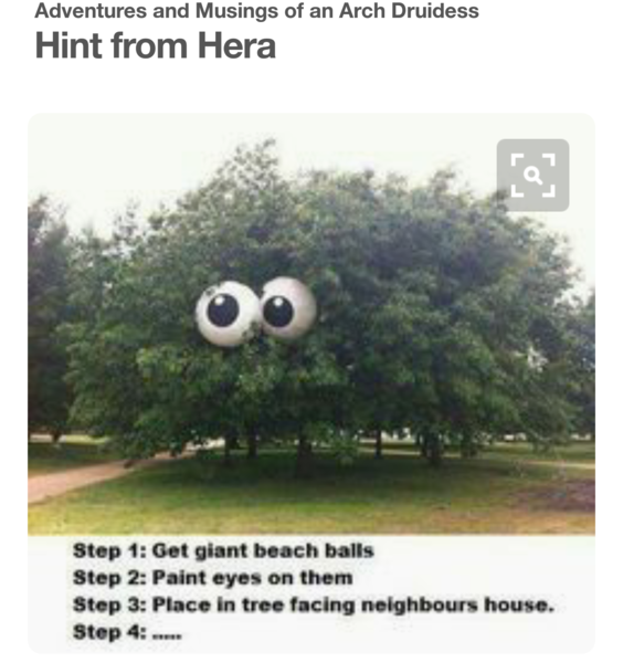 Or are my neighbours complete IDIOTS 😂