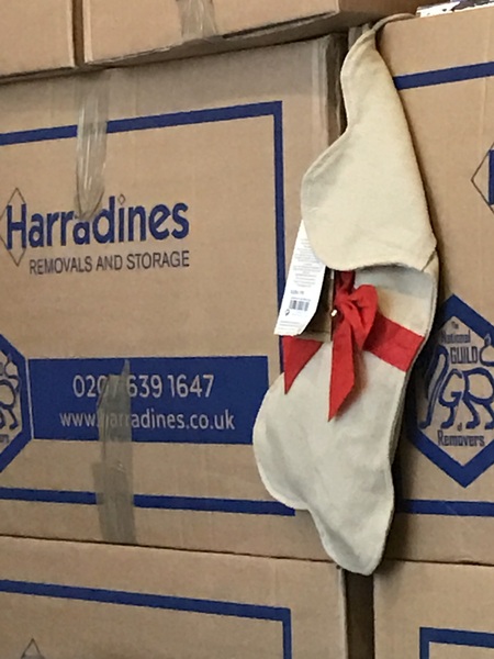 Is your dog getting a Christmas present?