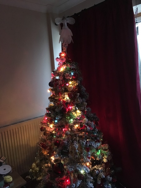 Show Us Your TREES!