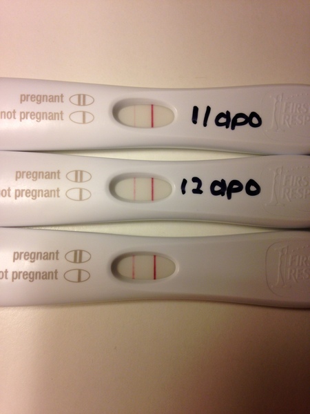 Ttc number 2!