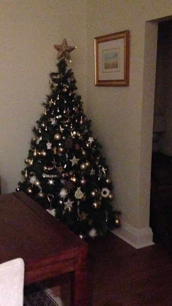 Show Us Your TREES!