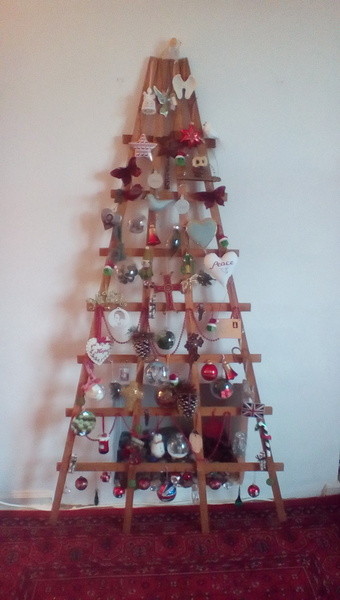 Show Us Your TREES!