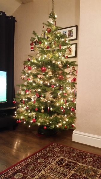 Show Us Your TREES!
