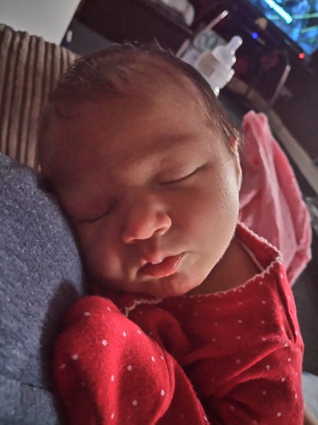 Late December - Early January Thread 2!