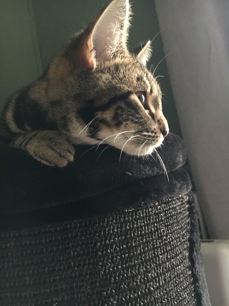 My girl is having the op next week any advice for me?