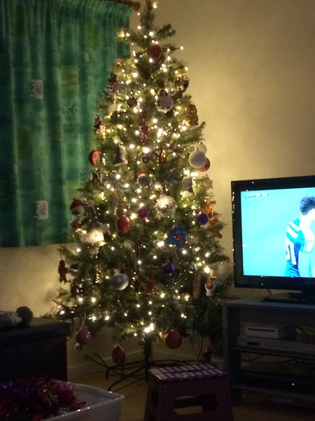 Show Us Your TREES!