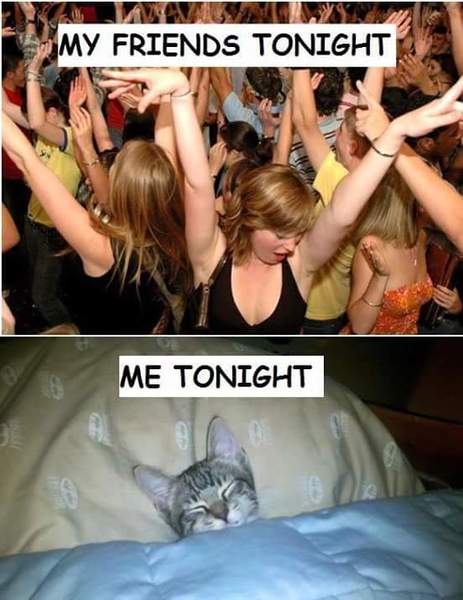 Swagger Inn Thread 141 - May every wench find an hbf under her --duvet-- mistletoe this Christmas