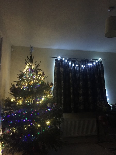 Show Us Your TREES!