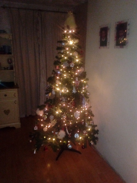 Show Us Your TREES!