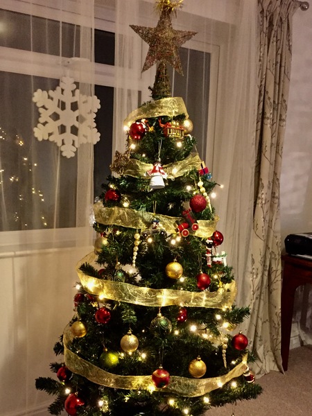 Show Us Your TREES!