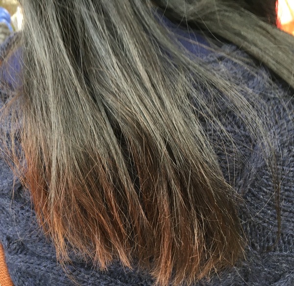 Hair disaster - please advise