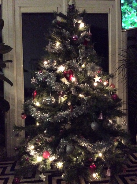 Show Us Your TREES!