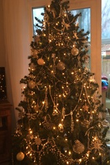 Show Us Your TREES!