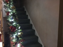 Show Us Your TREES!