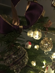 Show Us Your TREES!