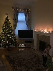 Show Us Your TREES!