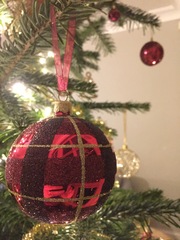 Show Us Your TREES!
