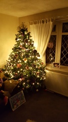 Show Us Your TREES!
