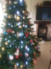 Show Us Your TREES!