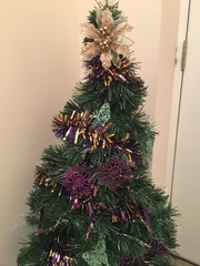 Show Us Your TREES!