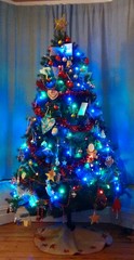 Show Us Your TREES!