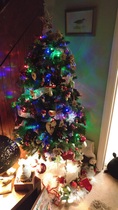 Show Us Your TREES!