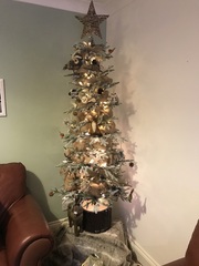 Show Us Your TREES!