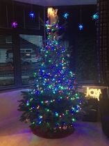 Show Us Your TREES!