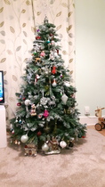 Show Us Your TREES!