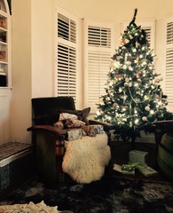 Show Us Your TREES!
