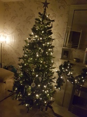 Show Us Your TREES!