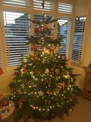 Show Us Your TREES!