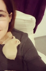 Best cage and breed of hamster for me [smile]