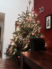 Show Us Your TREES!