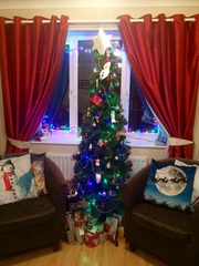 Show Us Your TREES!
