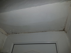 If I set fire to this stupid house will that finally stop the damp?