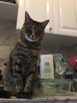 Show me your pussy!