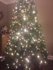 Show Us Your TREES!