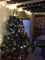 Show Us Your TREES!