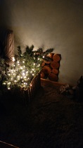 Show Us Your TREES!