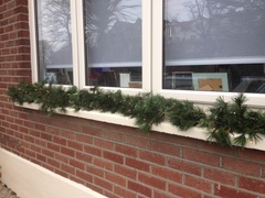 Show Us Your TREES!
