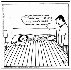 Does anyone else's dog do this?